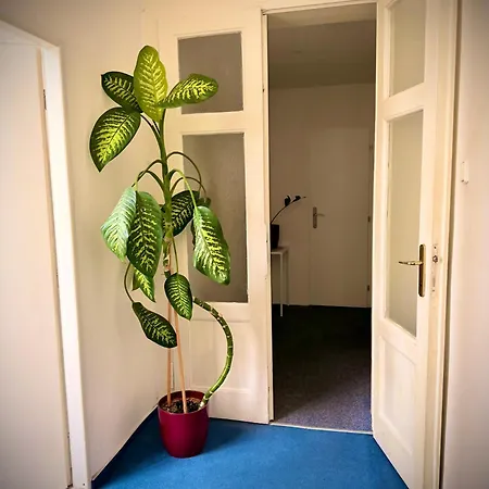 Homestay Old Town Center Just In 3 Min Walk Private B *